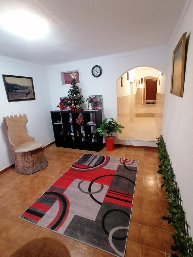 Cantinho Da Familia Avis Exterior photo