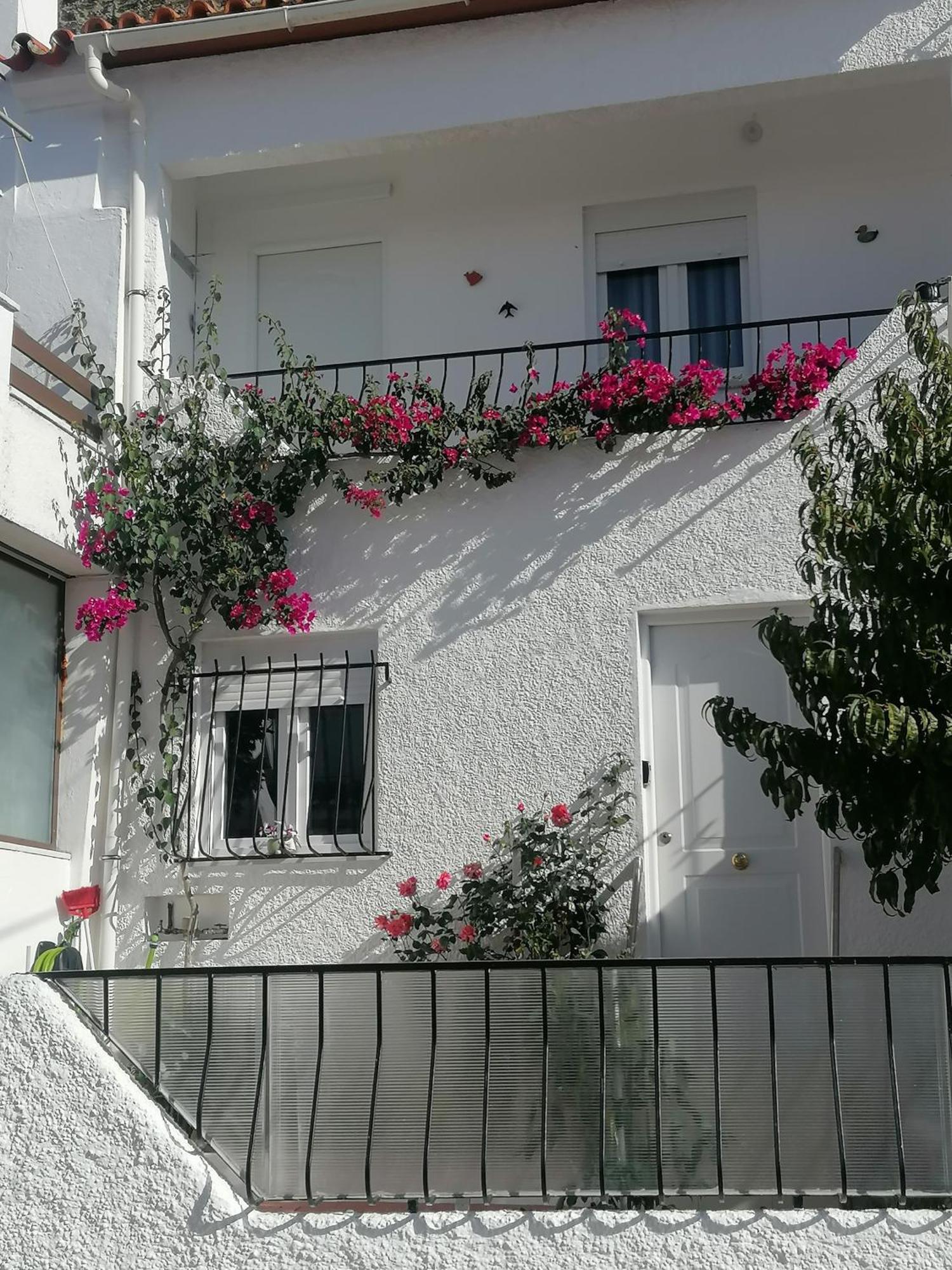 Cantinho Da Familia Avis Exterior photo